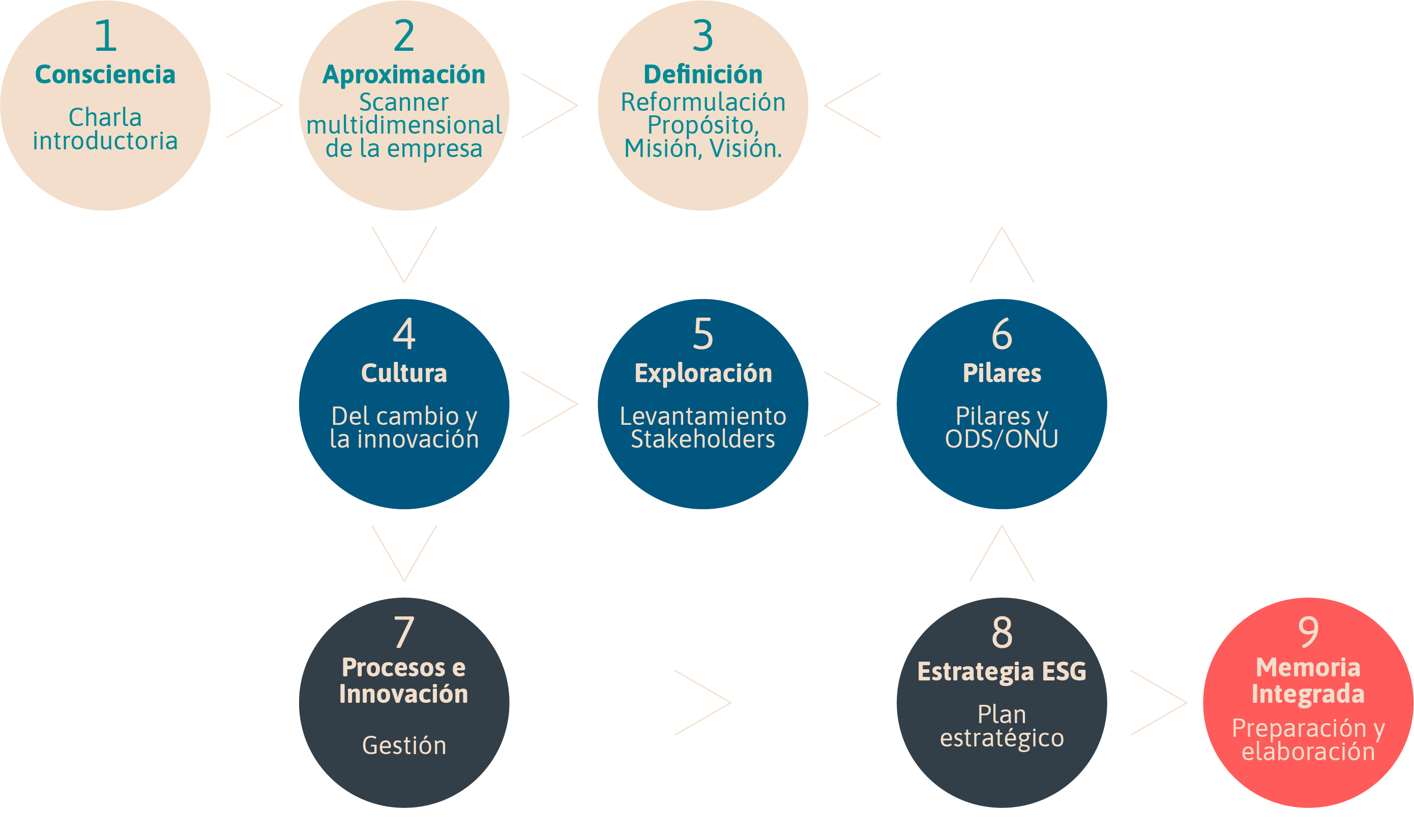 ESQUEMA VERSION CELULAR